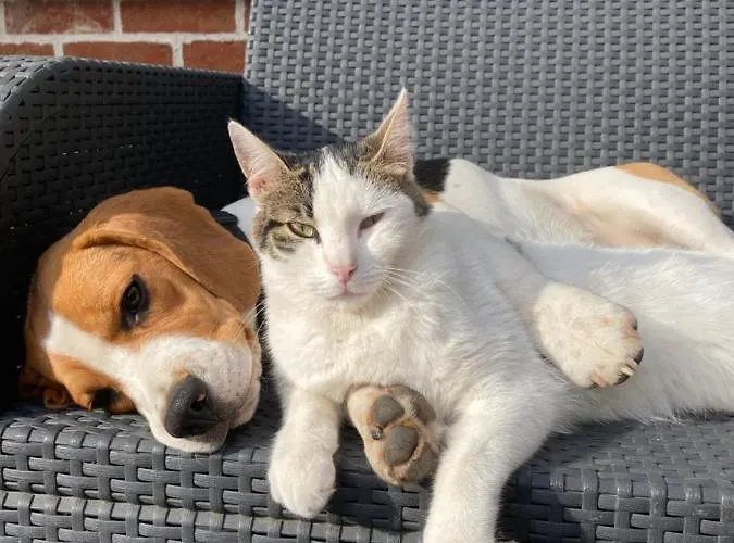 L Authentique Maison d'hôtes