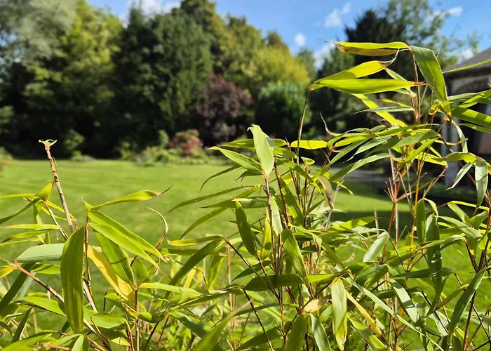 Maison d'hôtes L Authentique 4*